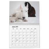 Bull Terrier Dog Calendar Kalender (Jan 2027)