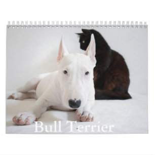 Bull Terrier Dog Calendar Kalender