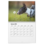 Bull Terrier Dog Calendar Kalender (Feb 2026)