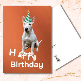 Bull Terrier Dog Happy Birthday Grußkarte
