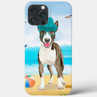 Bull Terrier Dog on Beach
