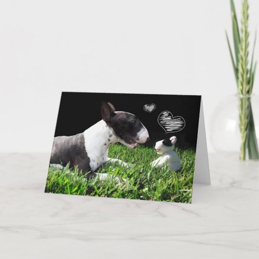 Bull Terrier Grußkarte Karte (Vorderseite)