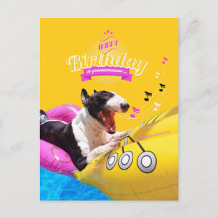 Bull Terrier "Happy Birthday" Fotokarte Postkarte