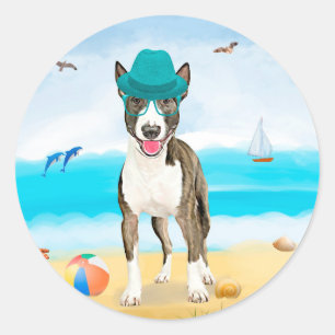 Bull Terrier Hund am Strand Runder Aufkleber