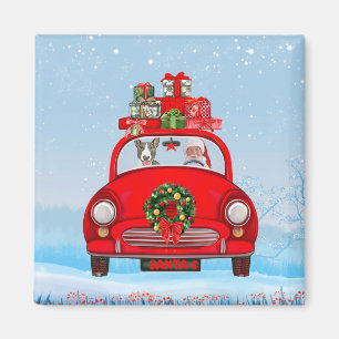 Bull Terrier Hund in Auto mit dem Weihnachtsmann Magnet