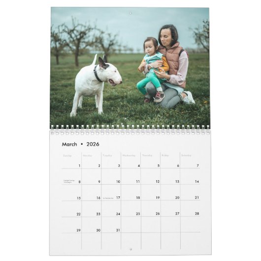 Bull Terrier Kalender 2026 (Mär 2026)
