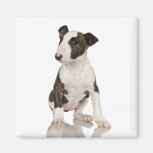 Bull Terrier Magnet