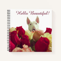 Bull Terrier mit Rose Gruß - Hallo schön