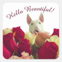 Bull Terrier mit Rose Gruß - Hallo schön