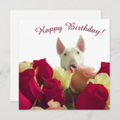 Bull Terrier mit Rose - Happy Birthday! (Vorne/Hinten)