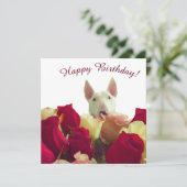 Bull Terrier mit Rose - Happy Birthday! (Stehend Vorderseite)
