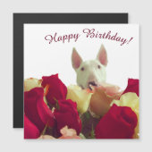 Bull Terrier mit Rose - Happy Birthday! Magnetkarte (Vorne/Hinten)