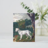 Bull Terrier Painting - Vintage Kunst Postkarte (Stehend Vorderseite)
