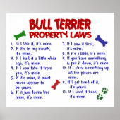 BULL TERRIER PL2 POSTER (Vorne)