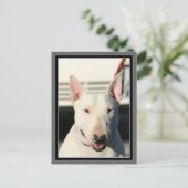 Bull Terrier Postcard Postkarte (Stehend Vorderseite)