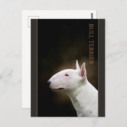 Bull Terrier Postcard Postkarte (Vorne/Hinten)