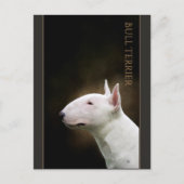 Bull Terrier Postcard Postkarte (Vorderseite)