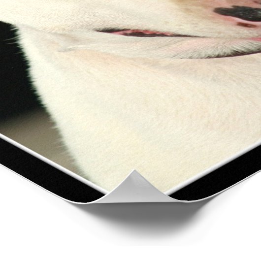 Bull Terrier Poster (Ecke)
