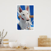 Bull Terrier Poster (Küche)