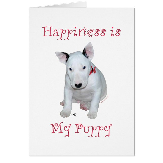 Bull Terrier Puppy (Vorne)