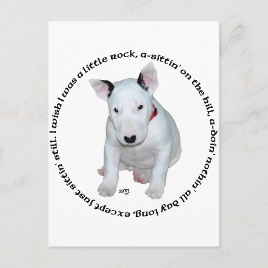 Bull Terrier Puppy Ditties Postkarte (Vorderseite)