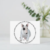 Bull Terrier Puppy Ditties Postkarte (Stehend Vorderseite)