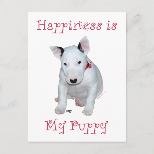 Bull Terrier Puppy Postkarte (Vorderseite)