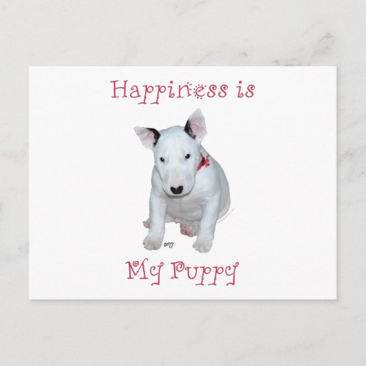 Bull Terrier Puppy Postkarte (Vorderseite)
