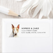 Bull Terrier Rücksendeadresse (Insitu)