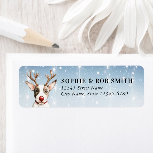 Bull Terrier Rücksendeadresse (Insitu)