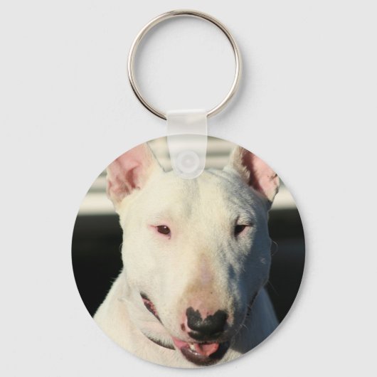 Bull Terrier Schlüsselanhänger (Vorderseite)