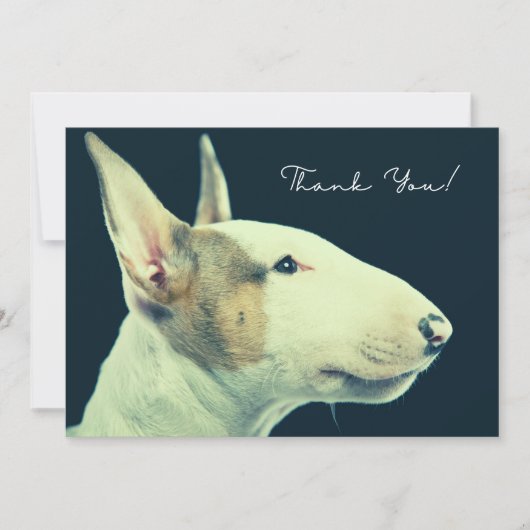 Bull Terrier Thank You Card Dankeskarte (Vorderseite)