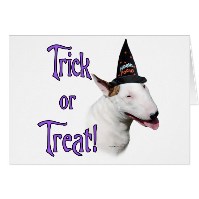 Bull Terrier Trick (Vorderseite (Horizontal))