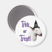 Bull Terrier Trick Magnet (Vorderseite/Rückseite)