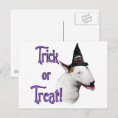 Bull Terrier Trick Postkarte (Vorne/Hinten)