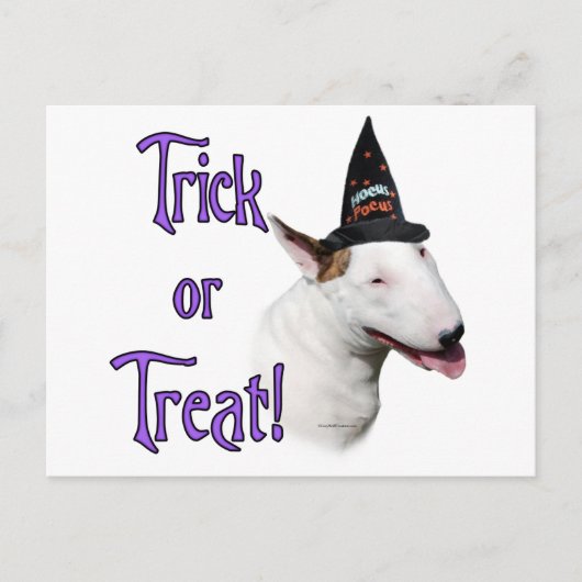Bull Terrier Trick Postkarte (Vorderseite)
