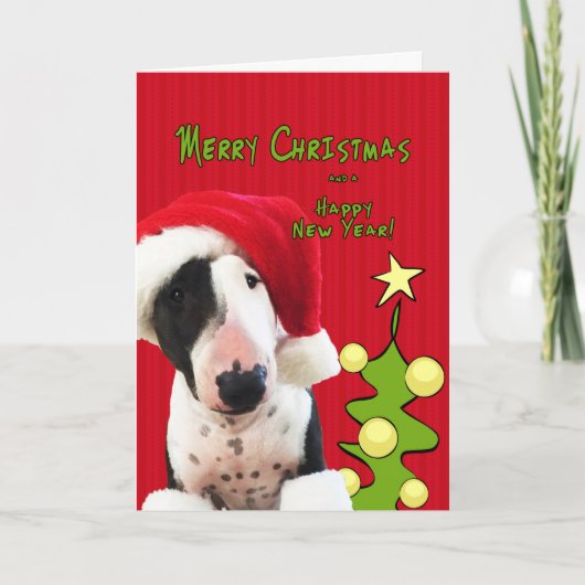 Bull Terrier Weihnachtskarte Feiertagskarte (Vorderseite)