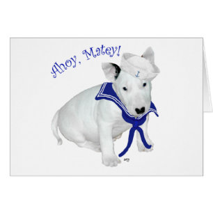 Bull Terrier Welpe Matrose