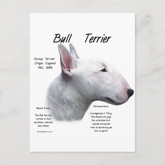 Bull Terrier (wht) History Design Postkarte (Vorderseite)
