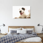 Bull Terriers Leinwanddruck (Insitu (Schlafzimmer))