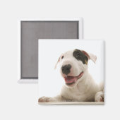 Bull Terriers Magnet (Vorderseite/Rückseite)