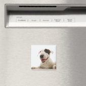 Bull Terriers Magnet (In Situ (Geschirrspüler))