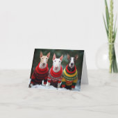 Bull Terriers Weihnachtskarte Karte (Vorderseite)
