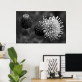 Bull Thistle Poster (Heimbüro)