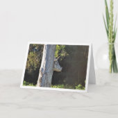 Bull Tree in Valencia, Spanien, Spanien Karte (Vorderseite)