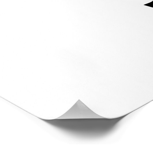 Bull Trout Poster (Ecke)