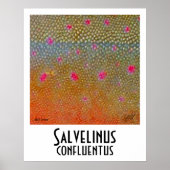 Bull Trout Poster (Vorne)