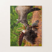 Bull und Kuh Elch Alaska. Puzzle (Vertikal)