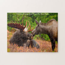 Bull und Kuh Elch Alaska. Weihnachtsgrüße