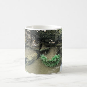 Bullards Beach State Park, Bandon, Oregon Kaffeetasse